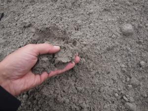 Käsi kauhaisee kasasta tuhkaa