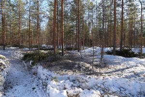 Askgödsling i snön