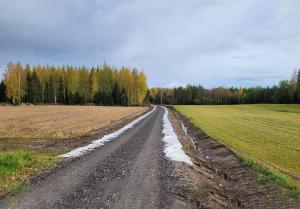 skogsvägens grundförbättring