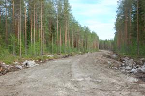 Byggning av en ny skogsväg.