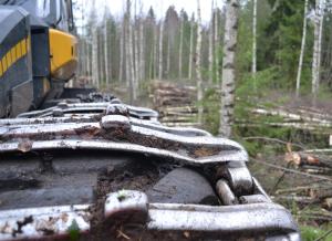I bilden syns en närbild av en skogsmaskin och i bakgrunden unga träd som har fällts och lagts i en hög på marken.