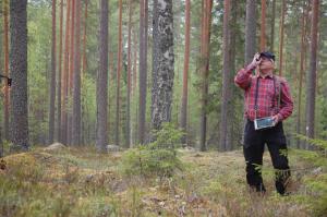 En man mäter trädens höjd i skogen.