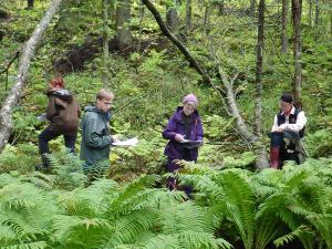 Naturvårdsprovets deltagare i skogen.