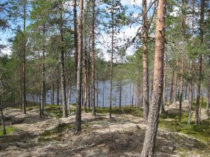 En bergig skog med en sjö i bakgrunden.