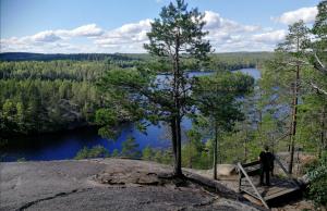 Suomalaista järvimaisemaa Repoveden kansallispuistossa kalliolta kuvattuna. Etualalla mäntyjä ja henkilö näköalatasanteella.