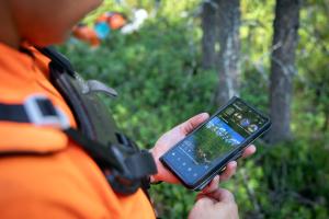 Henkilö on metsässä ja katsoo puhelimestaan sometiliä.