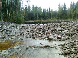 Stenar har placerats ut för att åstadkomma en bottendamm.