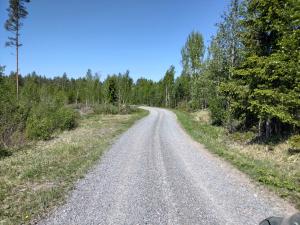 Soratie metsässä kesällä