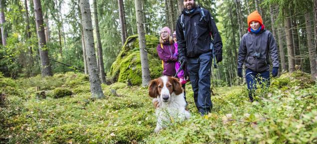 Perhe ja koira kävelemässä syksyisessä metsässä. 