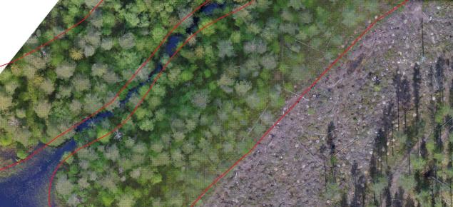 Dronekuvassa näkyy metsälakikohde, puroelinympäristö, jonka kaakkoispuolella on tehty hakkuu. Punaiset viivat osoittavat metsälakikohteen rajauksen. 