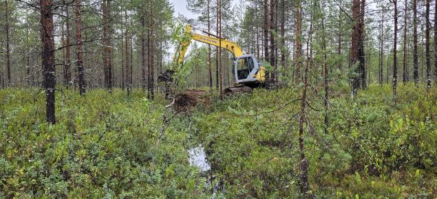 Kaivinkone tukkii suometsässä ojaa. 