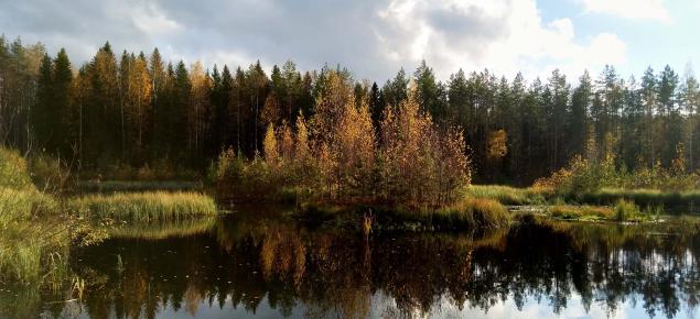 Kosteikkomaisema, jossa veteen heijastuu vastarannan puita ja taivasta.