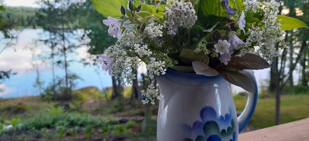 Sommarblommor i en vas. Skog och sjö i bakgrunden.