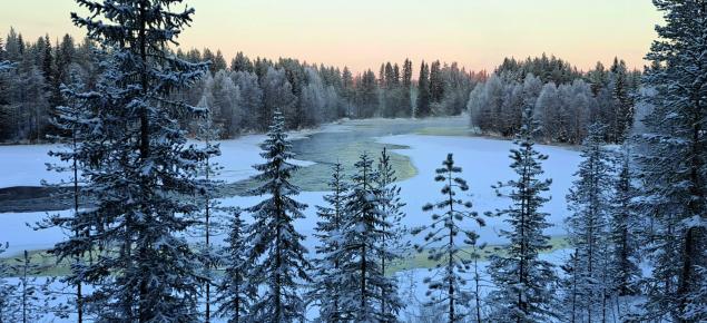 Talvinen metsä, taustalla joki