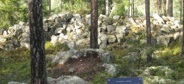 Muinaisjäännösalue metsän keskellä, taustalla on kiviä suuressa pinossa.