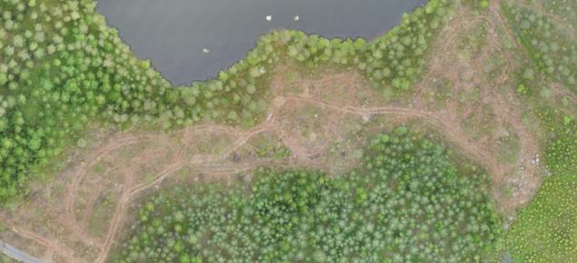 Ylhäältä kuvatussa kuvassa on rantaa reunustava suojakaista ja hakkuualuetta. 