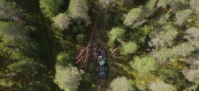 Metsäkone metsässä