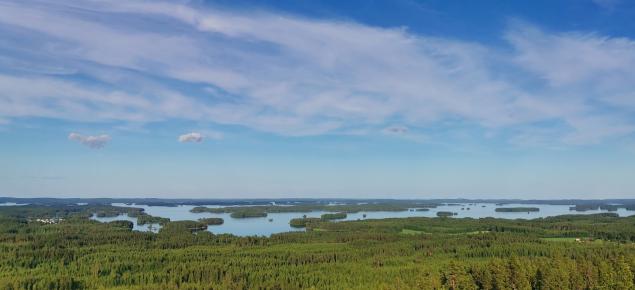 Metsämaisema ja järvi.