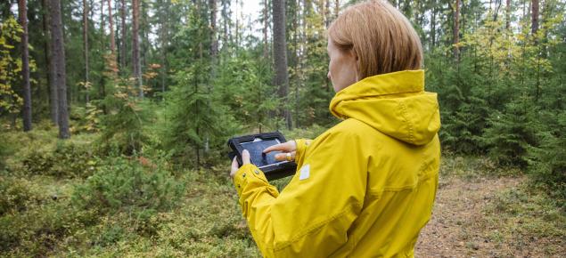 Keltatakkinen nainen katsoo metsässä tablettia. 