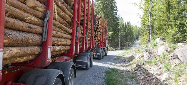 Tukkirekka ajaa pitkin kunnostettua metsätietä. 