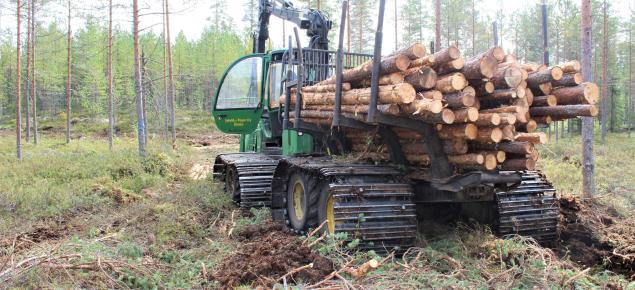 Metsätyökone kerää puuta suometsässä