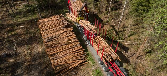 Tukkirekkaan lastataan puukuormaa metsäautotien varressa.