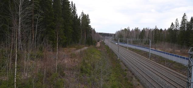 Järnväg och kantskog.