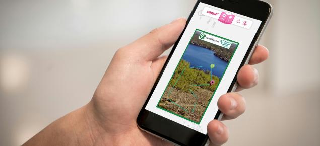 Puhelimen ruudulla Taitavaksi taimikonhoitajaksi -peli