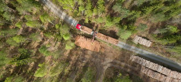 Ylhäältä päin kuvattuna tukkirekka metsätiellä ja puupinoja. 