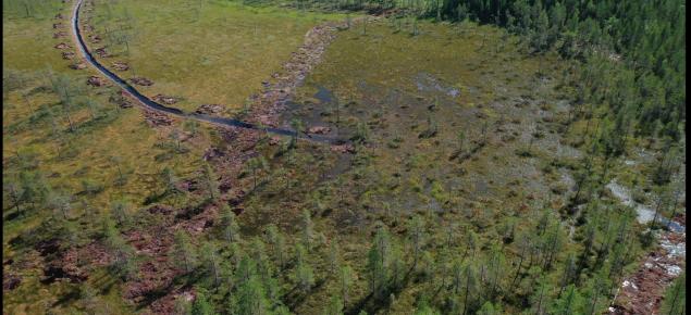 Ennallistettua suomaisemaa kuvattuna ylhäältäpäin.