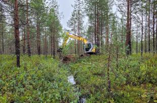 Ojan täyttämistä kaivinkoneella suometsässä.