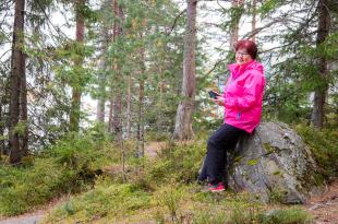 Metsänomistaja istuu kivellä metsässä kädessään tablettitietokone.