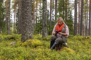 Henkilö tutkii matkapuhelinta metsässä kannolla istuen.