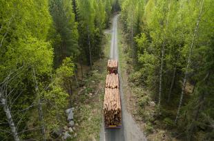 Puunkuljetusta yksityistiellä.