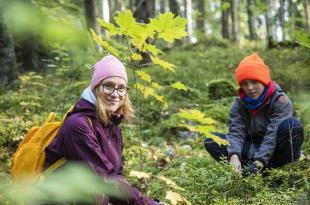 Kaksi ihmistä vihreässä metsässä. 