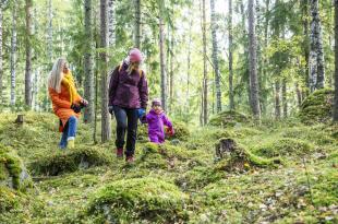 Kaksi naista ja lapsi kävelevät syksyisessä metsässä. 
