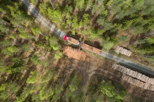 Ylhäältä päin kuvattuna tukkirekka metsätiellä ja puupinoja. 