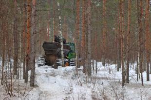 Metsätraktori levittää tuhkaa metsään lannoitteeksi talvella. 