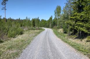 Soratie metsässä kesällä