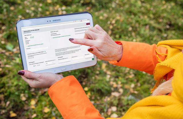 Person tittar på stödansökan i MinSkog.fi på en surfplatta.