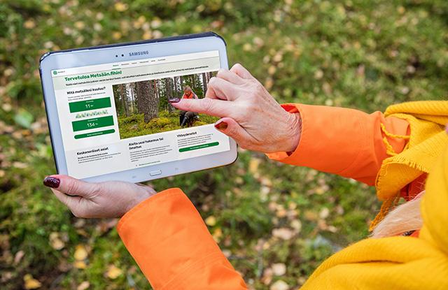 Nainen pitää käsissään tablettitietokonetta metsässä ja katsoo Metsään.fitä tabletin ruudulta.