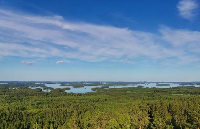 Metsämaisema ja järvi.