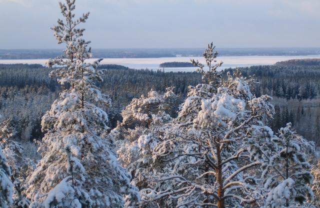 Talvinen maisema korkealta mäeltä. 