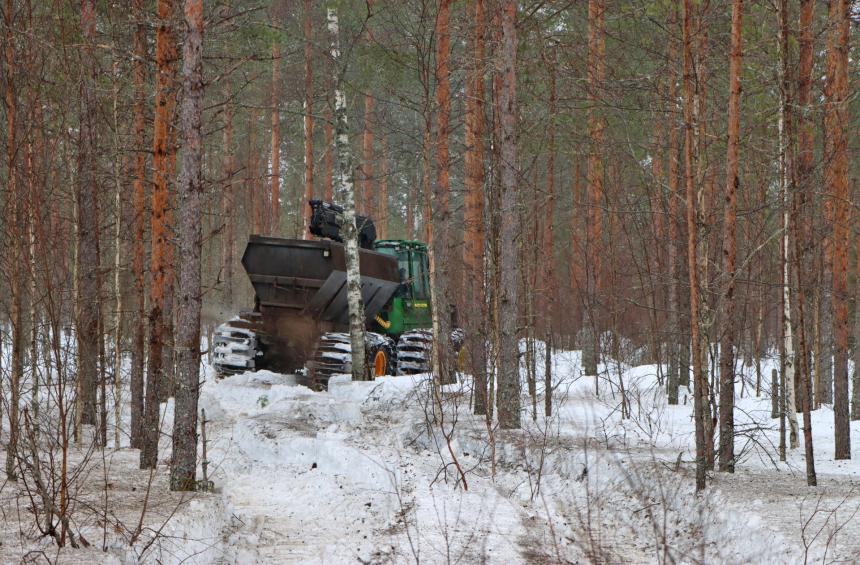 Metsätraktori levittää tuhkaa metsään lannoitteeksi talvella. 